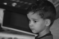 Enlarge photo 42