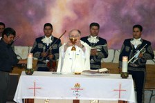 Enlarge photo 112