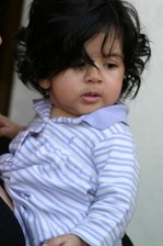 Enlarge photo 155
