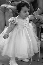 Enlarge photo 169