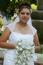 Enlarge photo 184