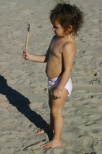 Enlarge photo 62