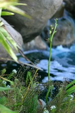 Enlarge photo 73