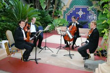 Enlarge photo 17