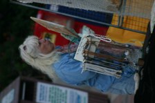 Enlarge photo 16