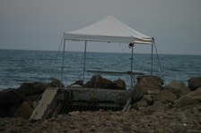 Enlarge photo 30