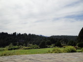 Enlarge photo 44
