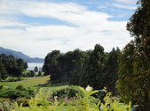 Enlarge photo 46