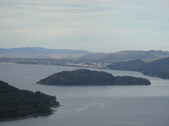 Enlarge photo 58
