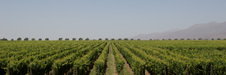 Enlarge photo 39