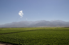 Enlarge photo 42