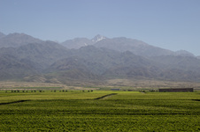 Enlarge photo 43