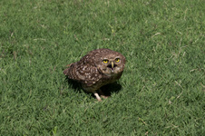 Enlarge photo 46