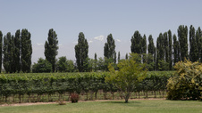 Enlarge photo 47