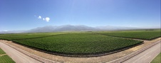 Enlarge photo 59