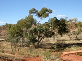 Enlarge photo 17