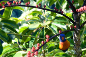 Enlarge photo 25