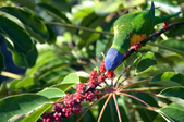 Enlarge photo 26