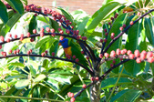 Enlarge photo 27