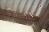 Enlarge photo 37