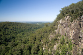 Enlarge photo 39
