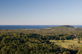 Enlarge photo 42