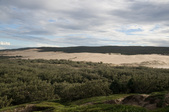 Enlarge photo 88