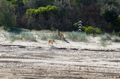 Enlarge photo 106
