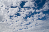 Enlarge photo 75