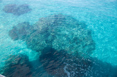 Enlarge photo 119