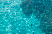 Enlarge photo 120
