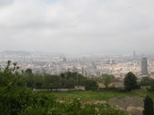 Enlarge photo 51