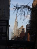Enlarge photo 83