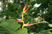 Enlarge photo 23