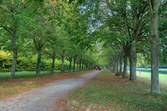 Enlarge photo 77