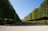 Enlarge photo 42