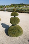 Enlarge photo 48