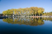 Enlarge photo 50