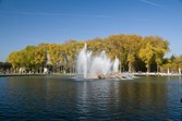 Enlarge photo 54