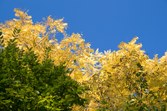 Enlarge photo 55