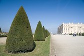 Enlarge photo 39