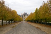 Enlarge photo 75