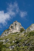 Enlarge photo 86