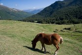 Enlarge photo 91