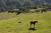 Enlarge photo 92