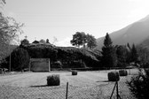 Enlarge photo 95