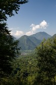 Enlarge photo 81