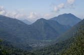 Enlarge photo 82