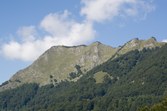 Enlarge photo 85