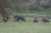 Enlarge photo 37
